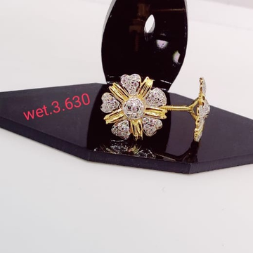 22 carat gold ladies earrings RH-LE813