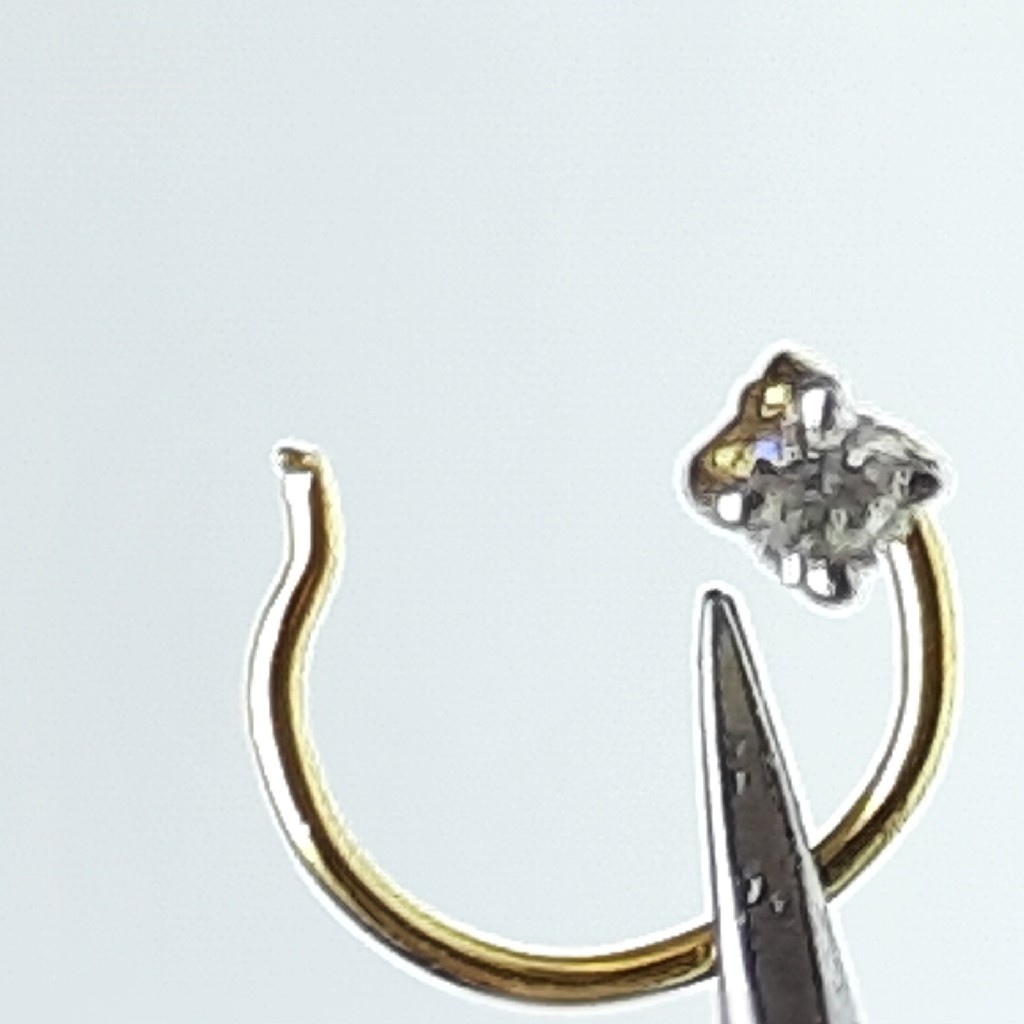 Diamond nose pin