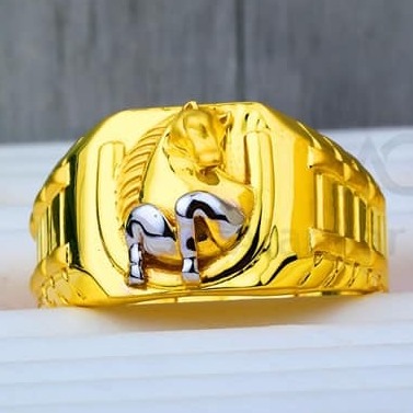 Solid 14k Yellow Gold Horseshoe Horse Head Good Luck Ring Lucky Charm Band  Polished Finish 11MM, Size 5.5 - Walmart.com