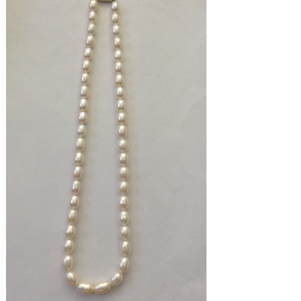 Freshwater white oval pearls strand JPM0100