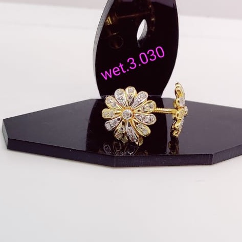 22 carat gold ladies earrings RH-LE827